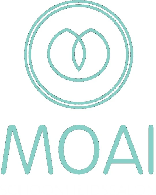 Bedrijfslogo van Schoonheidssalon Moai in Stiens